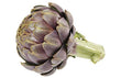 Artichauts Mauve// Purple Artichokes