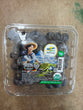 Bleuet BIO // Blueberries BIO