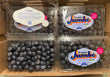 Bleuet SUPER JUMBO // SUPER JUMBO Blueberries