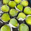 Figues Vertes 3 Pour $5 // Green Figs from California 3 for 5.00