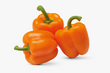 Poivrons Orange // Orange Bell Peppers - LB