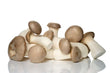 Champignons Mini Roi Oyster // Mini King Oyster Mushrooms - LB