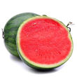 Melon D'eau Sans Pépin // Seedless Watermelon - LB
