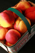 Pêche Blanche d'Ontario en Panier // White Ontario Peaches Basket