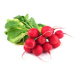 Top Radis 2 pour 5$ / Top Radish 2 for $5