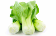 Baby Bok Choy BIO - LB