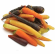 Carottes Nantaise Couleur // Coloured Carrots Qc
