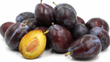 Prunes Italienne // Italian Plums - LB