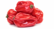Habanero Rouge / Red Habanero Chili - LB
