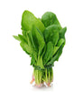 Épinard Frais // Fresh Spinach