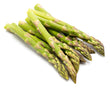 Asperge Large// Asparagus Large