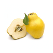 Coing // Quince