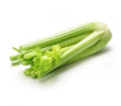 Celeri // Celery