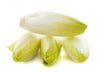 Endives Jaunes de Belgique // Yellow Endive Belgium - LB
