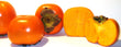 Kaki Vanille Espagne // Vanilla Kaki Spain