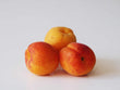 Apricot Raspberry // Abricot Framboise- LB