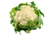 Chou Fleur // Cauliflower