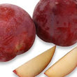 Prunes Crimson Rose // Crimson Rose Plum - LB