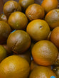 Orange Navel Chocolat