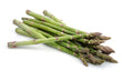 Asperge Mince // Asparagus Thin