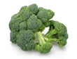 BROCOLI