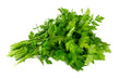 Persil Italien // Italian Flat Parsley