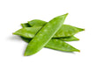 Pois Mange-Tout // Snow Peas - LB