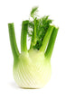 Fenouil // Fennel Jumbo