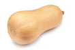 Courge Butternut // Butternut Squash - LB