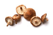Champignons Shiitake // Shiitake Mushrooms - LB