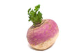 Rutabaga // Yellow turnips - LB