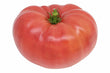 Tomates Rose // Pink Tomatoes - LB
