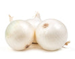 Oignons Blanc // White Onions Large Size - LB