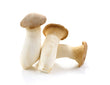 Champignons Roi Oyster // King Oyster Mushrooms - LB
