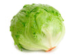 Laitue Iceberg // Iceberg Lettuce USA