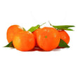 Clementines avec feuilles // Clementines with leaves - LB