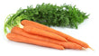 Carottes avec Feuilles // Top Carrots
