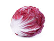 Radicchio - LB